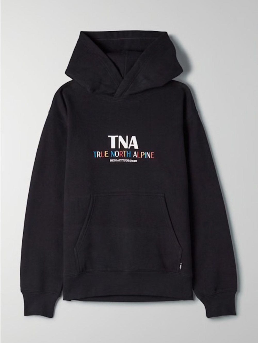 Aritzia TNA Hoodie